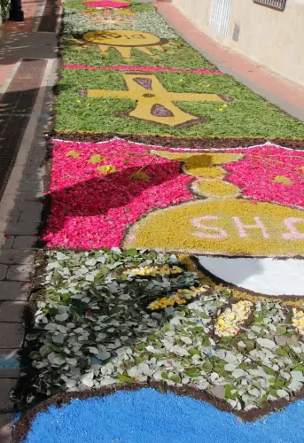 FiestasTradiciones-CorpusAlfombras-Bogarra44