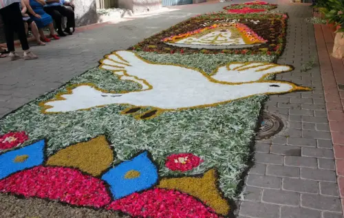 FiestasTradiciones-CorpusAlfombras-Bogarra45
