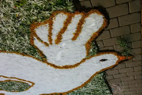 FiestasTradiciones-CorpusAlfombras-Bogarra48