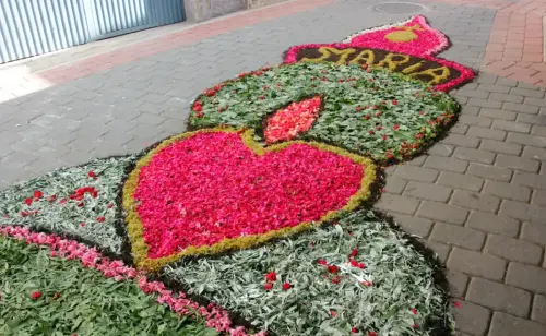 FiestasTradiciones-CorpusAlfombras-Bogarra50