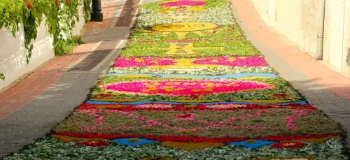 FiestasTradiciones-CorpusAlfombras-Bogarra55
