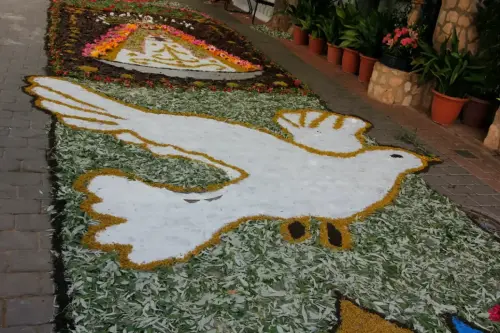 FiestasTradiciones-CorpusAlfombras-Bogarra56