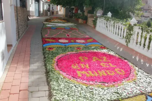 FiestasTradiciones-CorpusAlfombras-Bogarra58