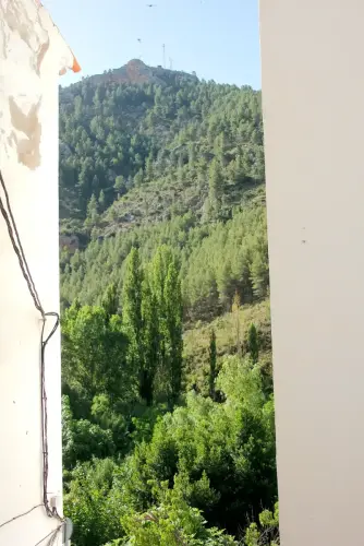 FiestasTradiciones-CorpusAlfombras-Bogarra61