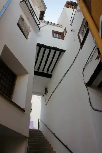 FiestasTradiciones-CorpusAlfombras-Bogarra64