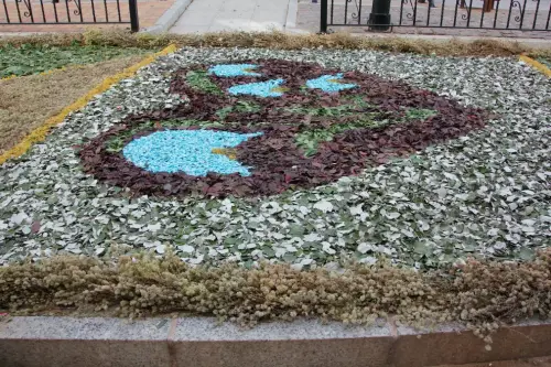 FiestasTradiciones-CorpusAlfombras-Bogarra66