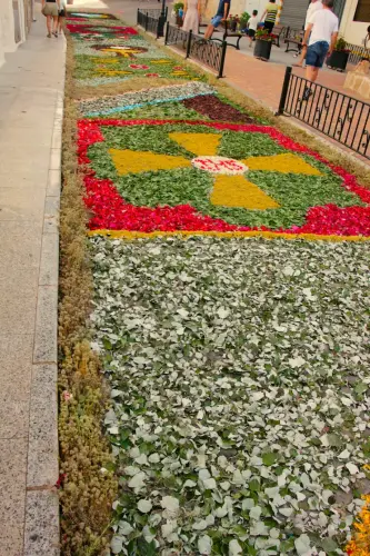 FiestasTradiciones-CorpusAlfombras-Bogarra68