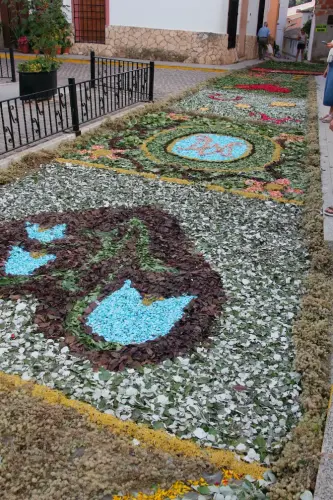 FiestasTradiciones-CorpusAlfombras-Bogarra69