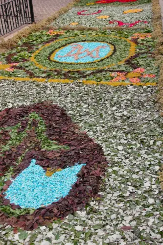 FiestasTradiciones-CorpusAlfombras-Bogarra70