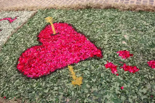 FiestasTradiciones-CorpusAlfombras-Bogarra72