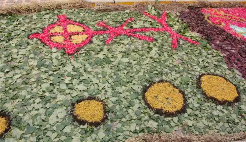 FiestasTradiciones-CorpusAlfombras-Bogarra73