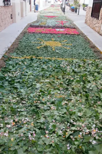 FiestasTradiciones-CorpusAlfombras-Bogarra74