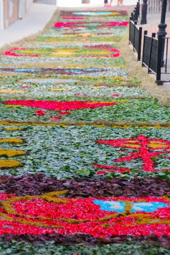 FiestasTradiciones-CorpusAlfombras-Bogarra75