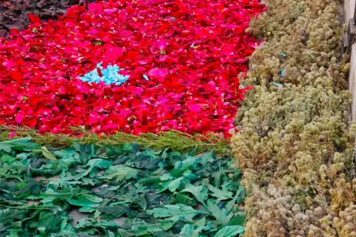 FiestasTradiciones-CorpusAlfombras-Bogarra84