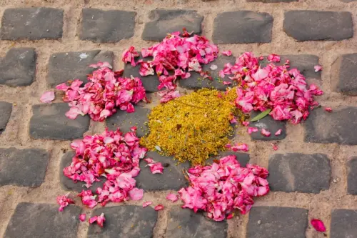 FiestasTradiciones-CorpusAlfombras-Bogarra86