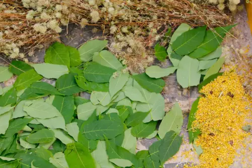 FiestasTradiciones-CorpusAlfombras-Bogarra90