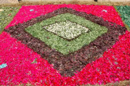 FiestasTradiciones-CorpusAlfombras-Bogarra93