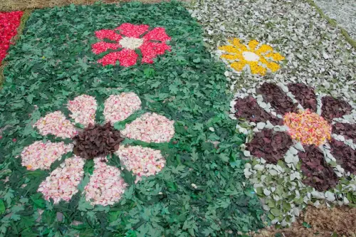 FiestasTradiciones-CorpusAlfombras-Bogarra95