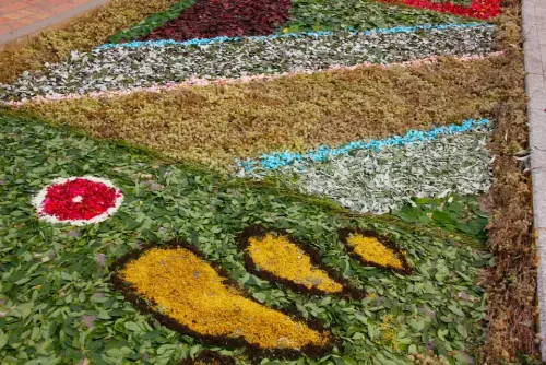 FiestasTradiciones-CorpusAlfombras-Bogarra96
