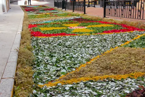 FiestasTradiciones-CorpusAlfombras-Bogarra99