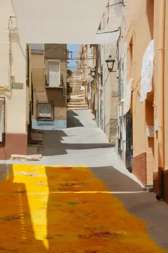 FiestasTradiciones-CorpusAlfombras-Elche-de-la-Sierra128