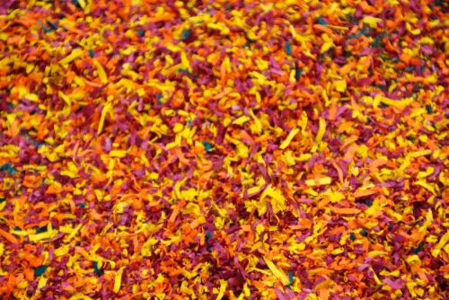 FiestasTradiciones-CorpusAlfombras-Elche-de-la-Sierra175