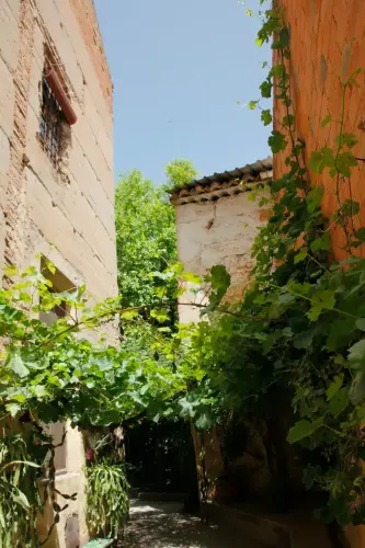 FiestasTradiciones-CorpusAlfombras-Elche-de-la-Sierra180