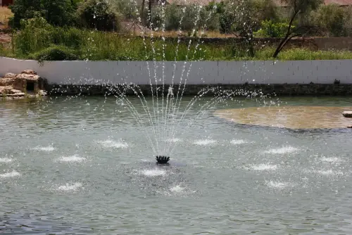 FiestasTradiciones-CorpusAlfombras-Elche-de-la-Sierra191