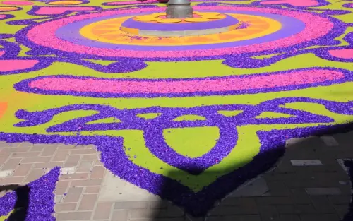 FiestasTradiciones-CorpusAlfombras-Elche-de-la-Sierra23