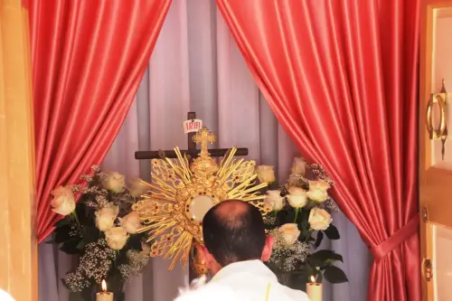 FiestasTradiciones-CorpusAlfombras-Elche-de-la-Sierra239