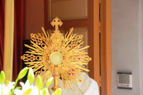 FiestasTradiciones-CorpusAlfombras-Elche-de-la-Sierra240