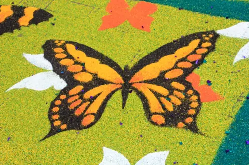 FiestasTradiciones-CorpusAlfombras-Elche-de-la-Sierra29