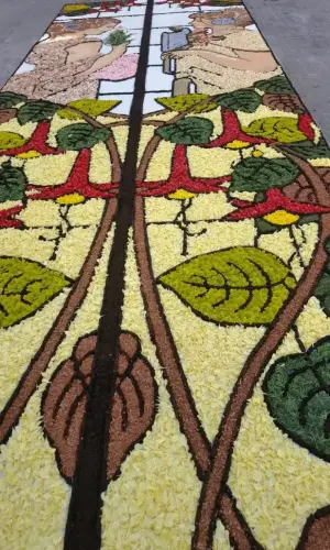 FiestasTradiciones-CorpusAlfombras-Elche-de-la-Sierra66