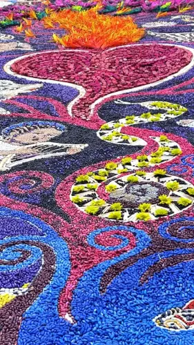 FiestasTradiciones-CorpusAlfombras-Elche-de-la-Sierra72