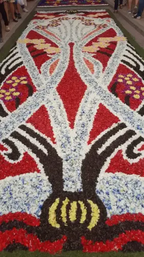 FiestasTradiciones-CorpusAlfombras-Elche-de-la-Sierra86