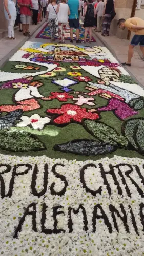 FiestasTradiciones-CorpusAlfombras-Elche-de-la-Sierra88