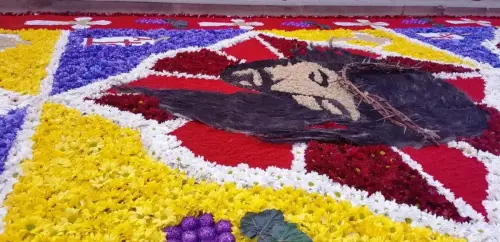 FiestasTradiciones-CorpusAlfombras-Elche-de-la-Sierra95