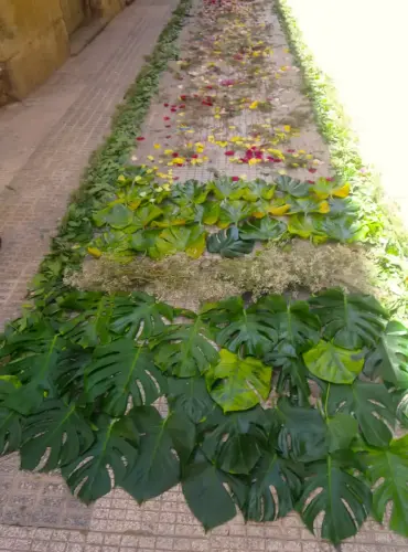 FiestasTradiciones-CorpusAlfombras-Hellin26