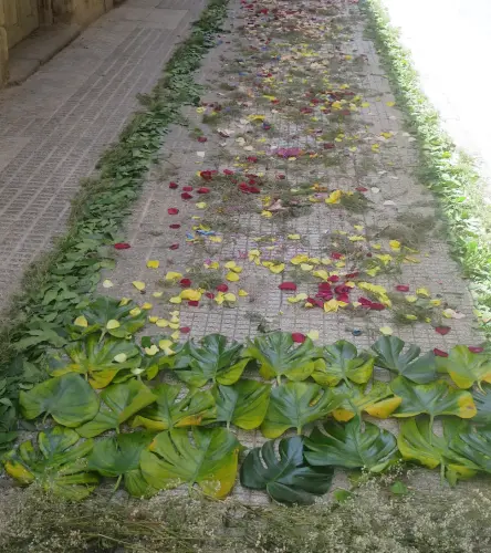 FiestasTradiciones-CorpusAlfombras-Hellin27