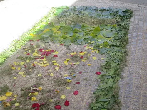 FiestasTradiciones-CorpusAlfombras-Hellin28