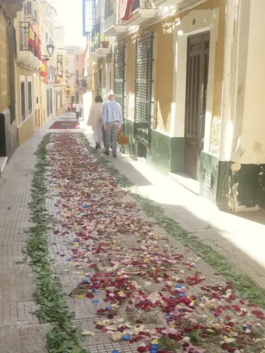 FiestasTradiciones-CorpusAlfombras-Hellin30