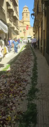 FiestasTradiciones-CorpusAlfombras-Hellin40