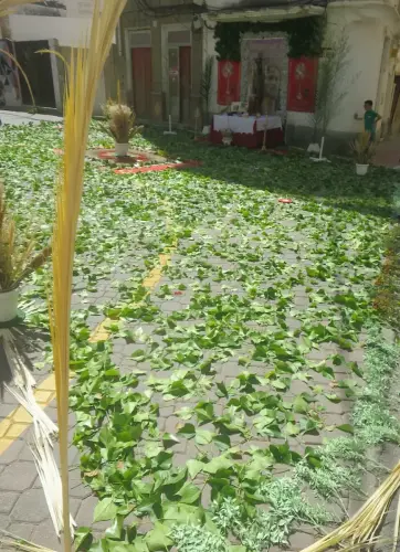 FiestasTradiciones-CorpusAlfombras-Hellin56