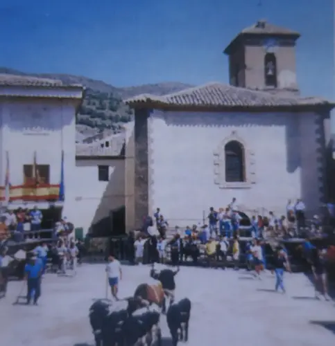 Nerpio-Cuadrillas-de-Animeros5