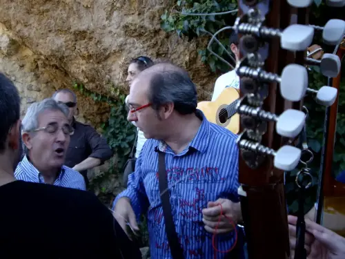 Nerpio-Cuadrillas-de-Animeros8