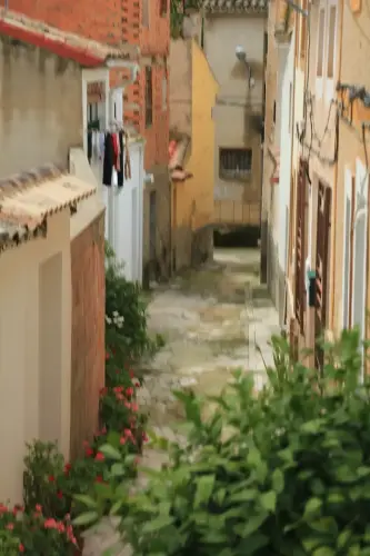 FiestasTradiciones-Dia-de-la-Cruz-Socovos16