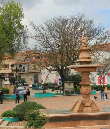 FiestasTradiciones-Dia-de-la-Cruz-Socovos22