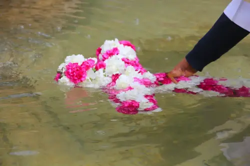 FiestasTradiciones-Dia-de-la-Cruz-Socovos39