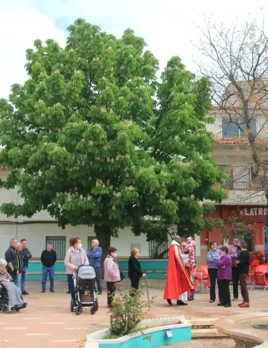 FiestasTradiciones-Dia-de-la-Cruz-Socovos64