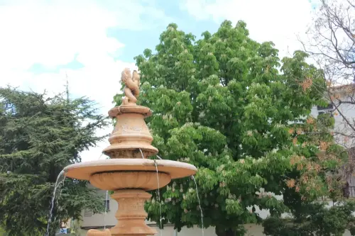 FiestasTradiciones-Dia-de-la-Cruz-Socovos71